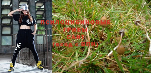 spice Покровск