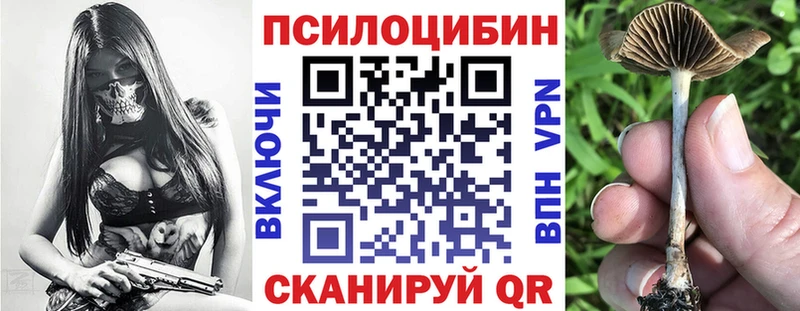 Купить где  Астрахань  Псилоцибиновые грибы Psilocybine cubensis 